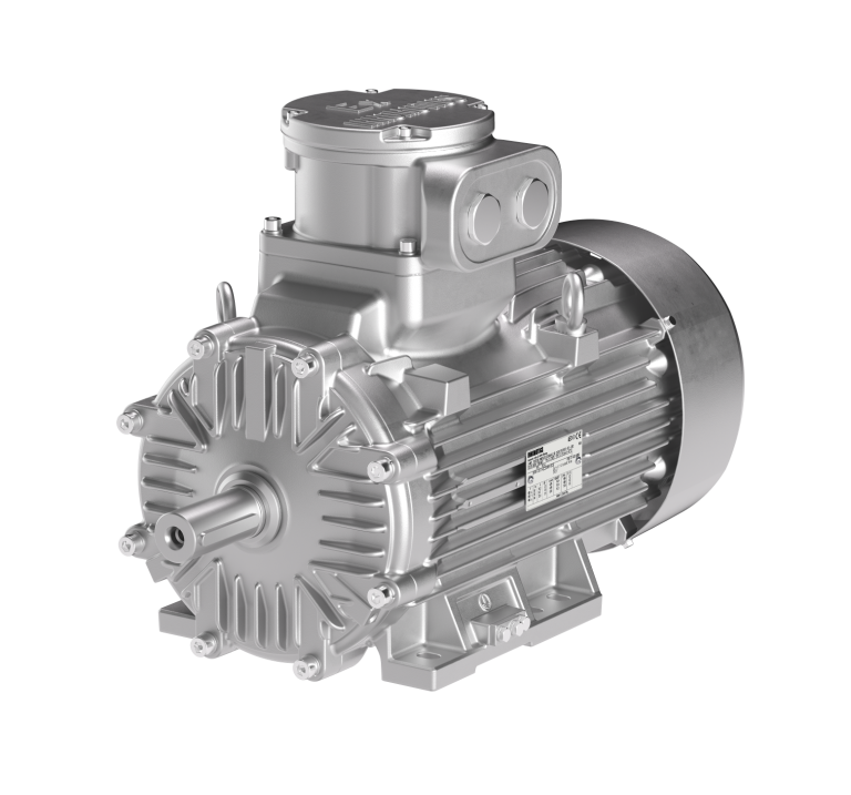 Motori antideflagranti ATEX (Serie XP)