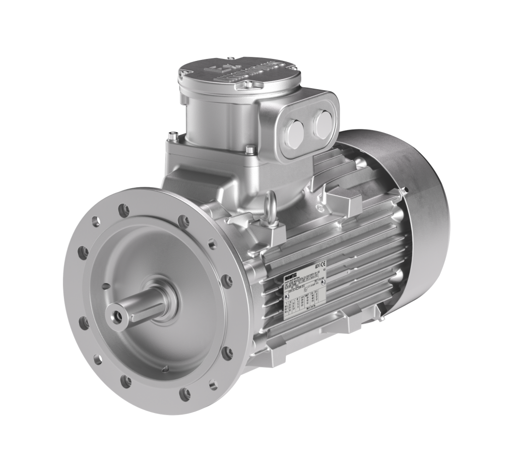 Motori antideflagranti ATEX (Serie XP)