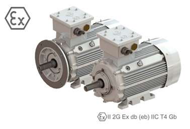 Motori antideflagranti (ATEX)