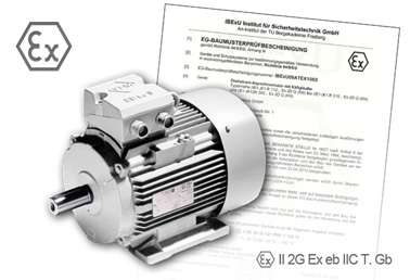 Motori antideflagranti (ATEX)